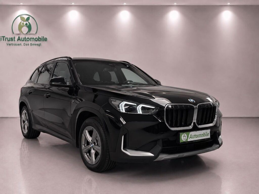 BMW X1 xDrive 23d KAMERA ACC LIC-PROF DA-PROF AHK